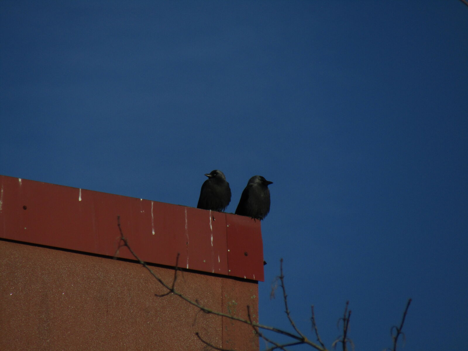 Canon PowerShot SX420 IS sample photo