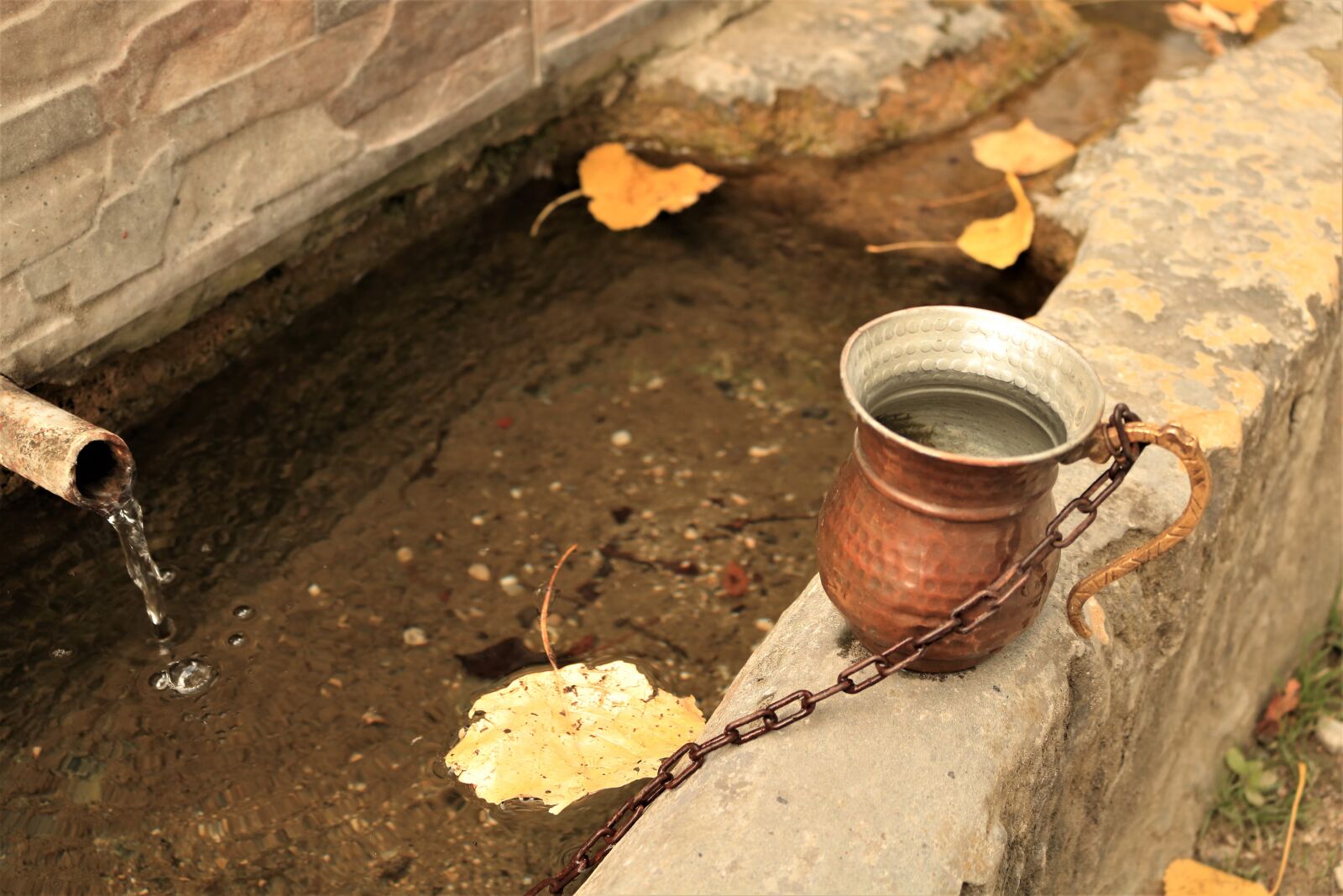 Canon EOS 760D (EOS Rebel T6s / EOS 8000D) sample photo. Glass, water, fountain photography