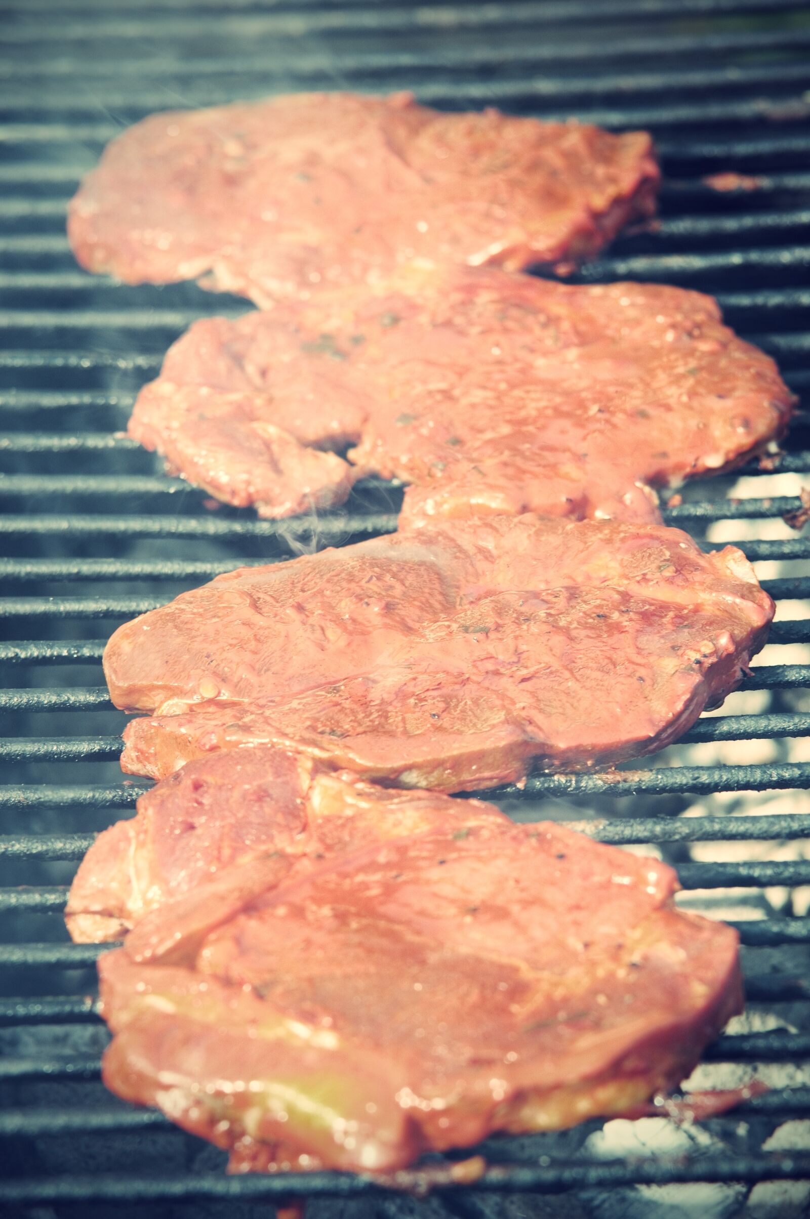 Nikon D2X sample photo. Meat, cholesterol, pork photography