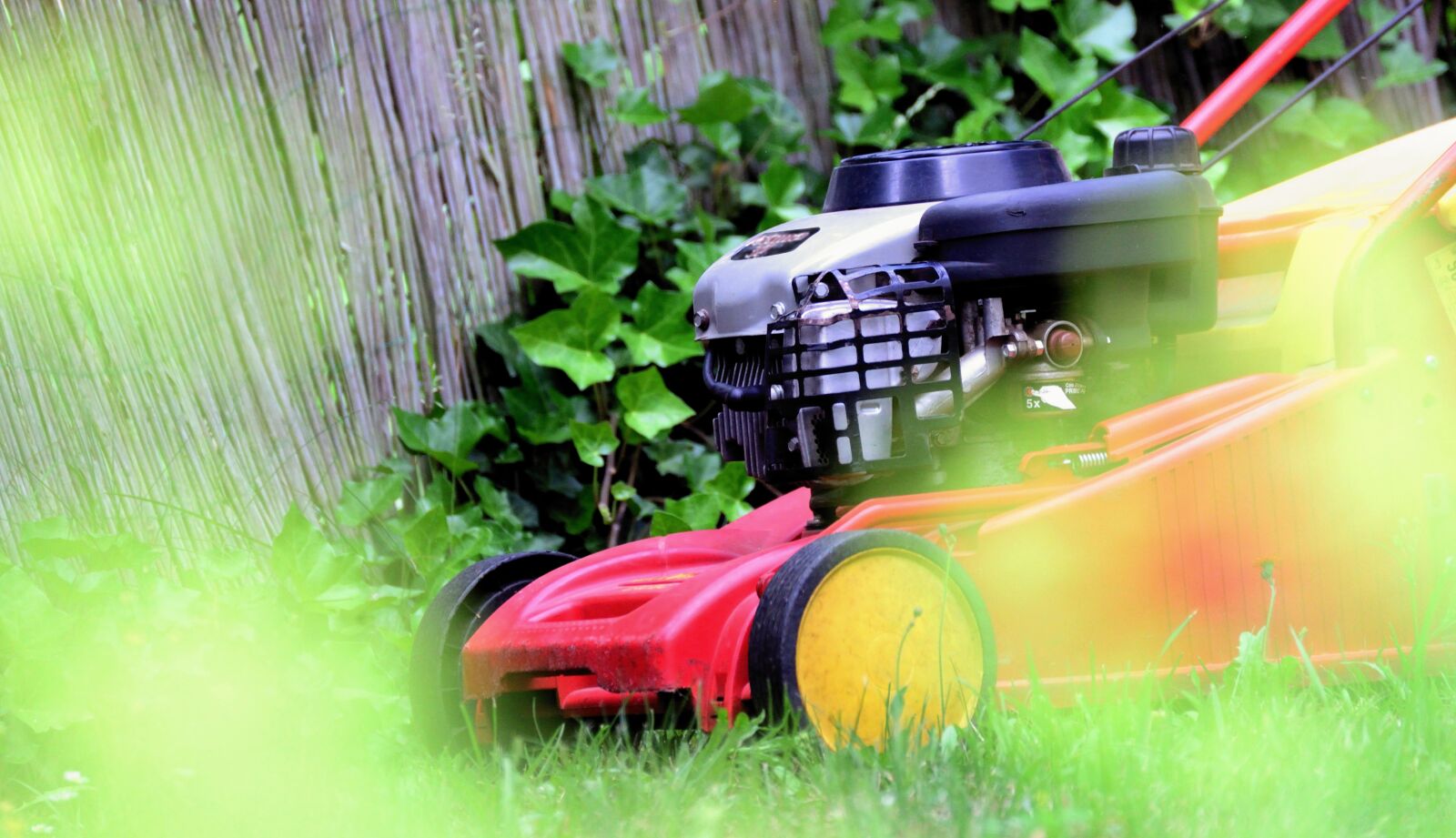 Nikon D610 sample photo. Lawn mower, mow, gardening photography