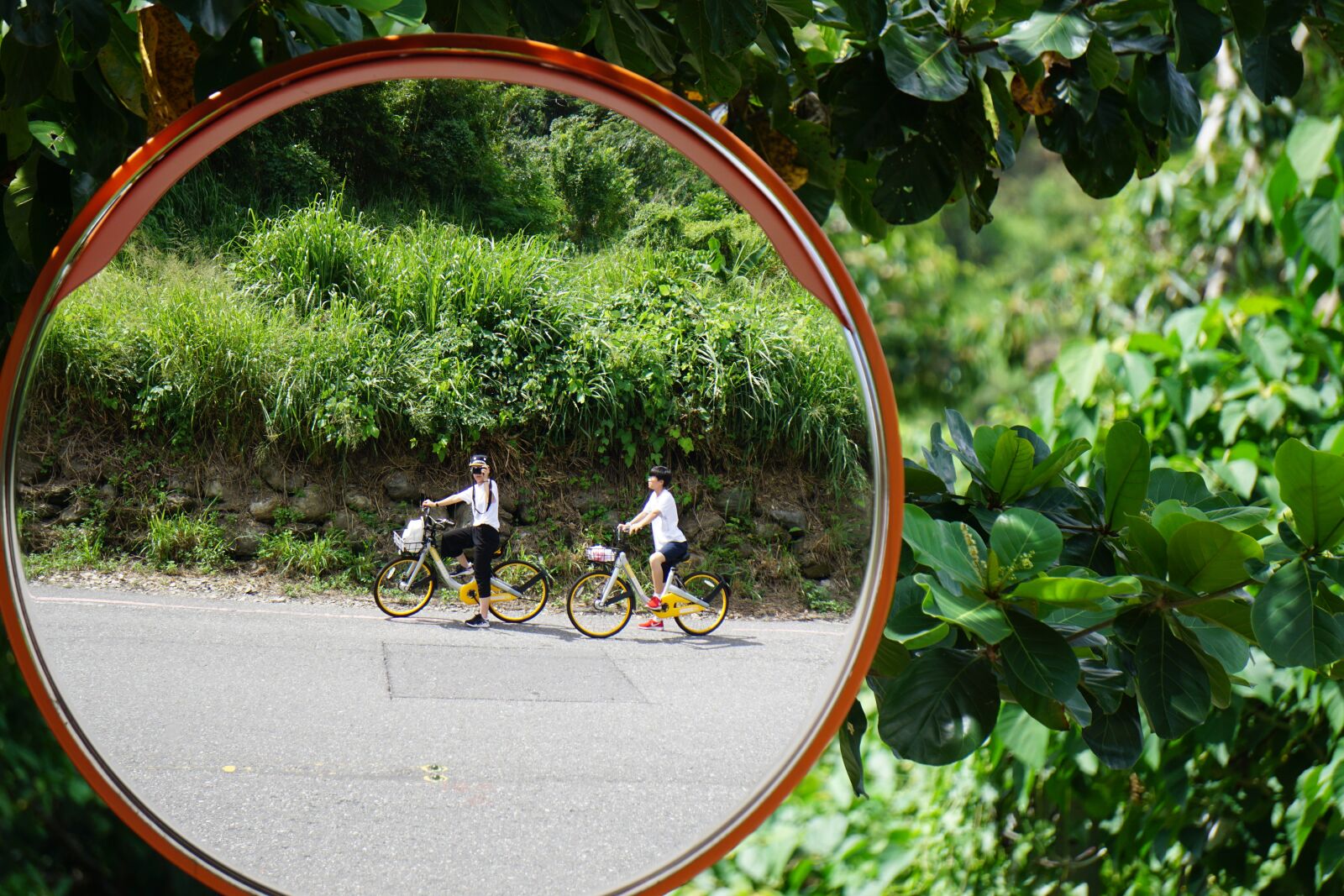 Sony E 55-210mm F4.5-6.3 OSS sample photo. Reflection, bicycle, bike photography