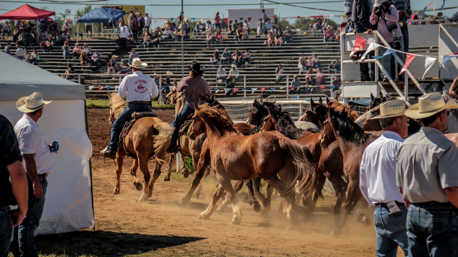 Canon EF-S 18-135mm F3.5-5.6 IS sample photo. Rodeo, horse, cowboy photography