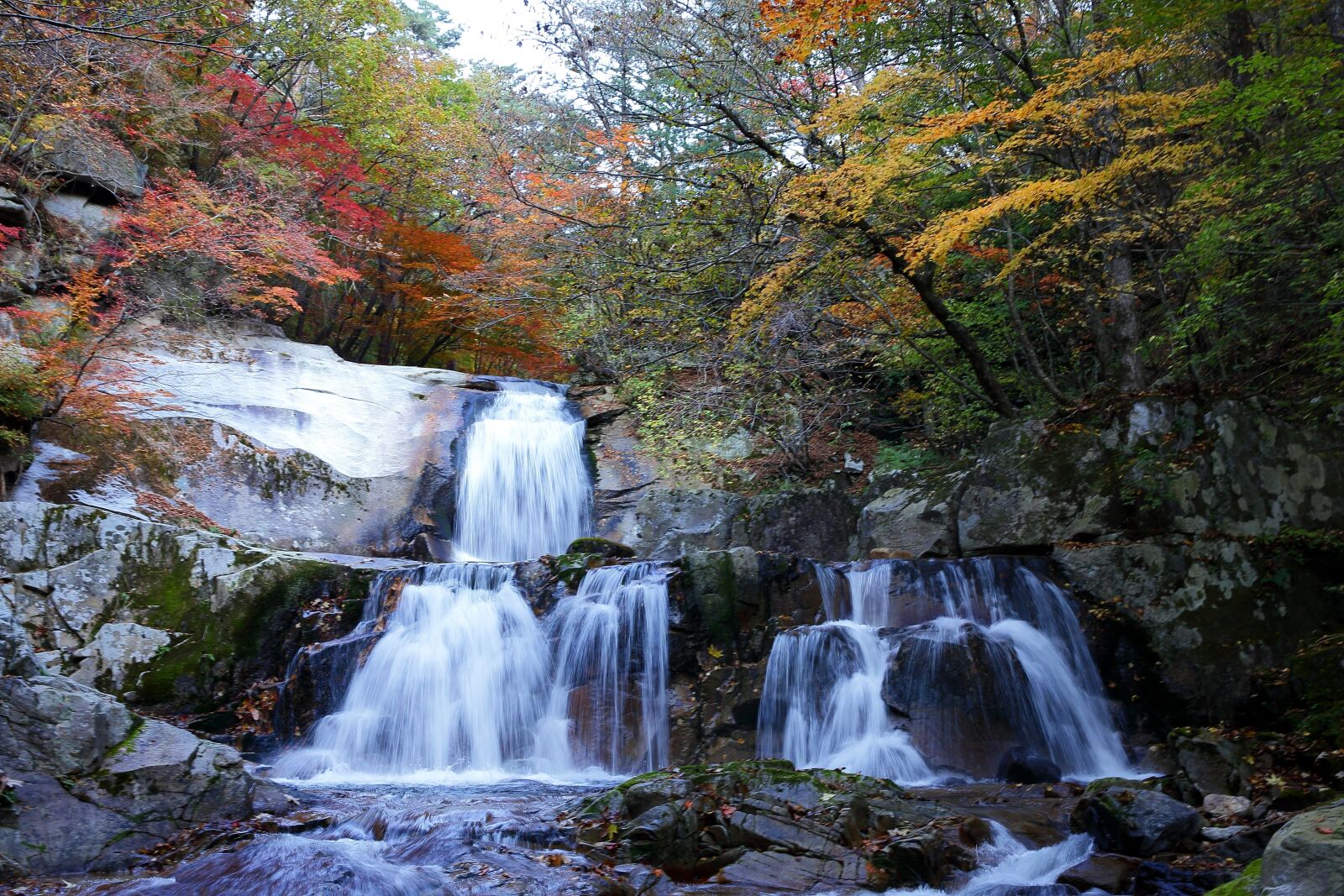 Canon EOS-1D X sample photo. Room taishan, gangwon do photography