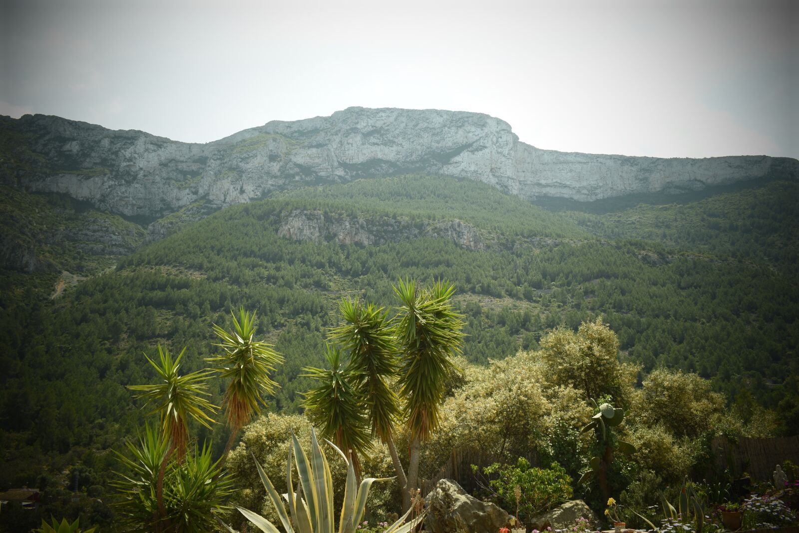 Nikon D5500 sample photo. Kerstin mais, montgo, denia photography