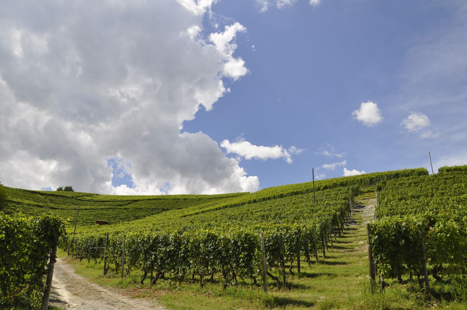 Nikon D5000 sample photo. Landscape, nature, field photography
