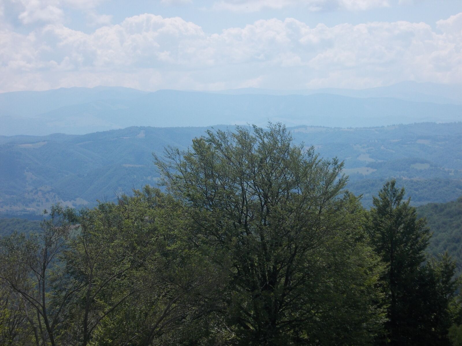 Nikon COOLPIX L25 sample photo. Mountain, vegetation, forest photography