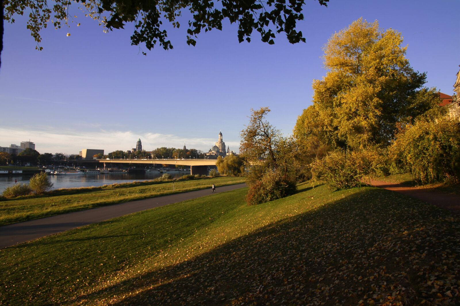 Canon EOS 50D sample photo. Dresden, nature, travel photography