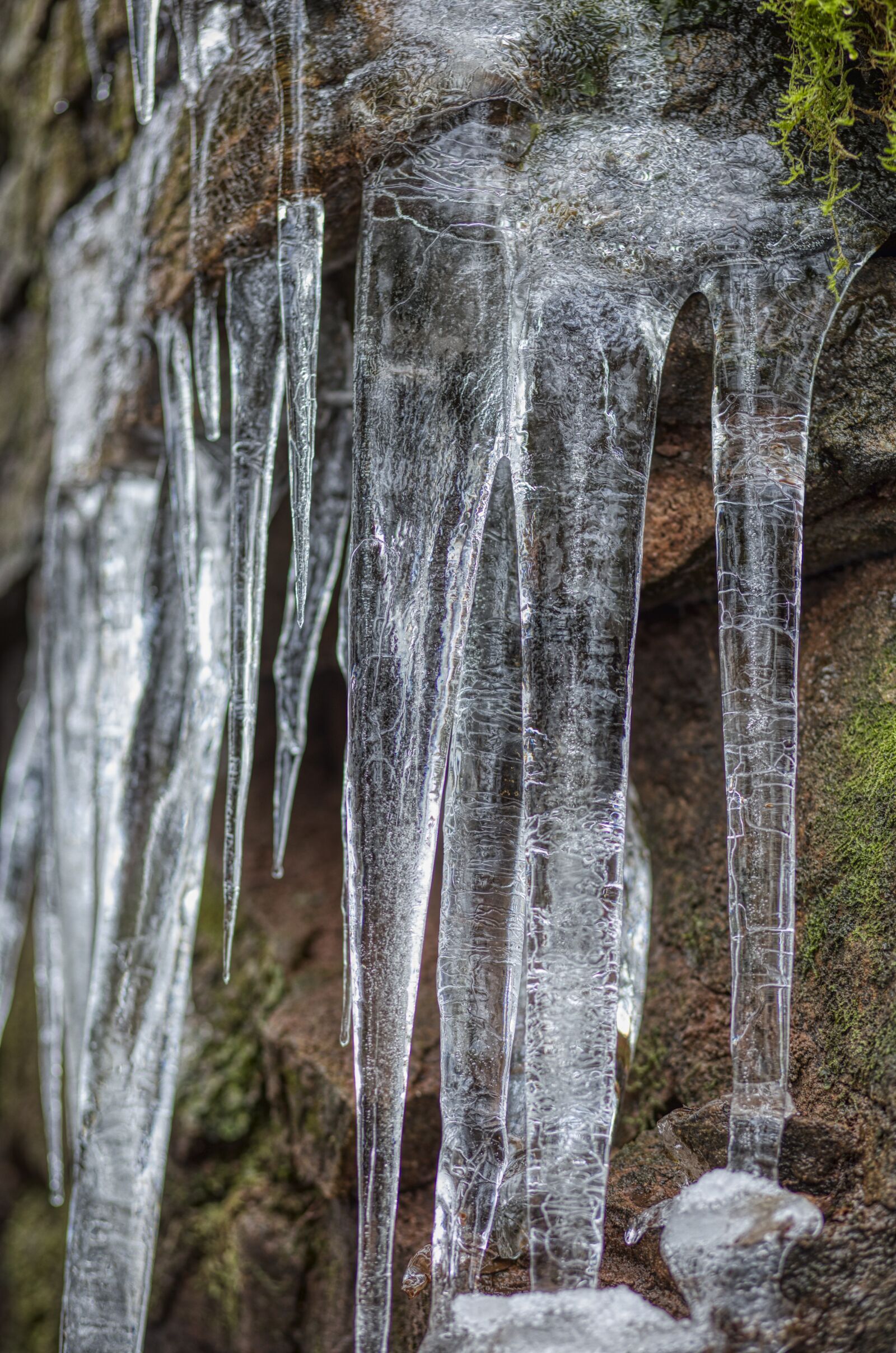 Canon EF 85mm F1.8 USM sample photo. Icicles, frozen, ice photography