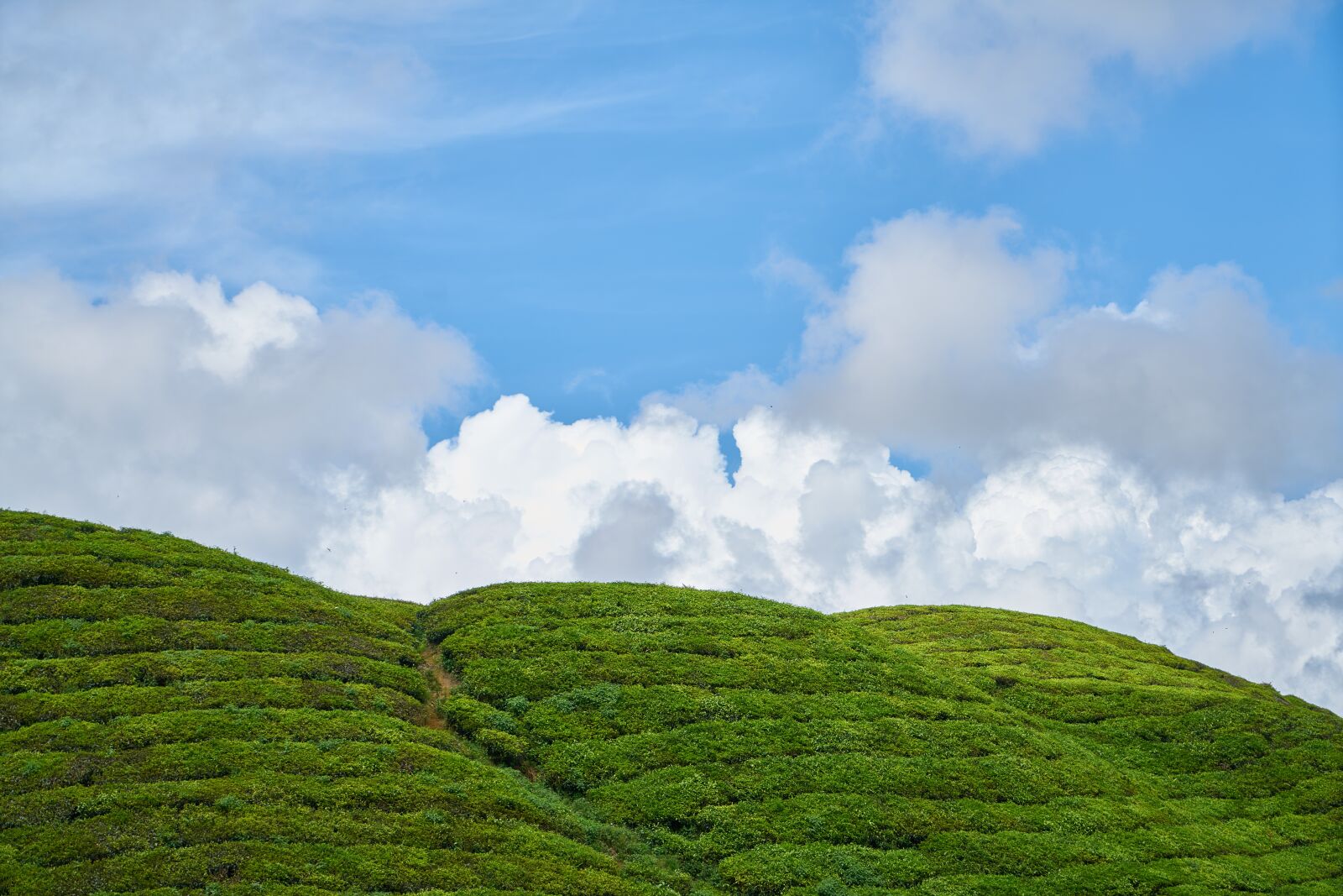 Sony a7R II sample photo. Mountain, nature, taylor photography