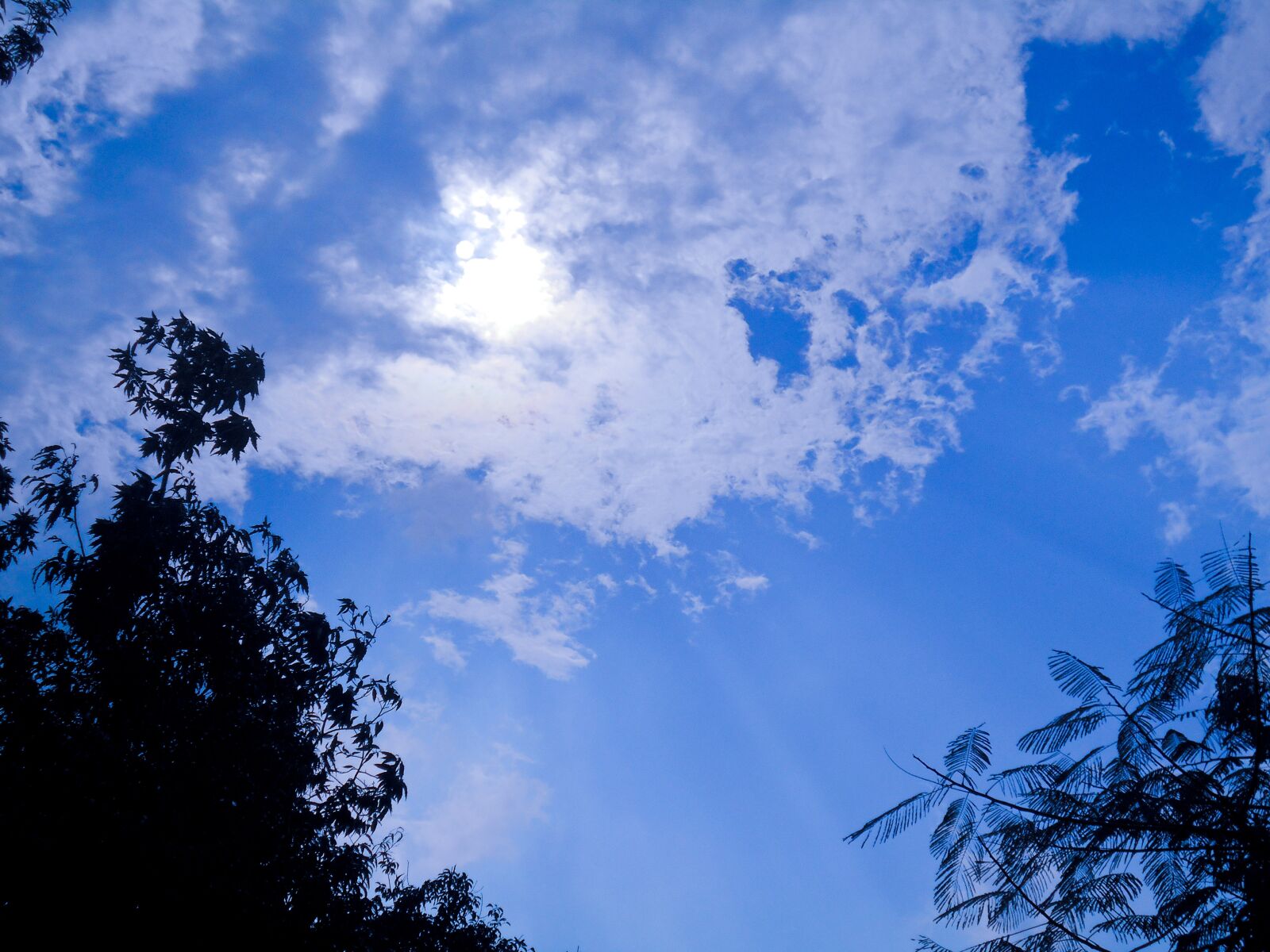 Nikon Coolpix S2900 sample photo. Azure, blue, sky photography