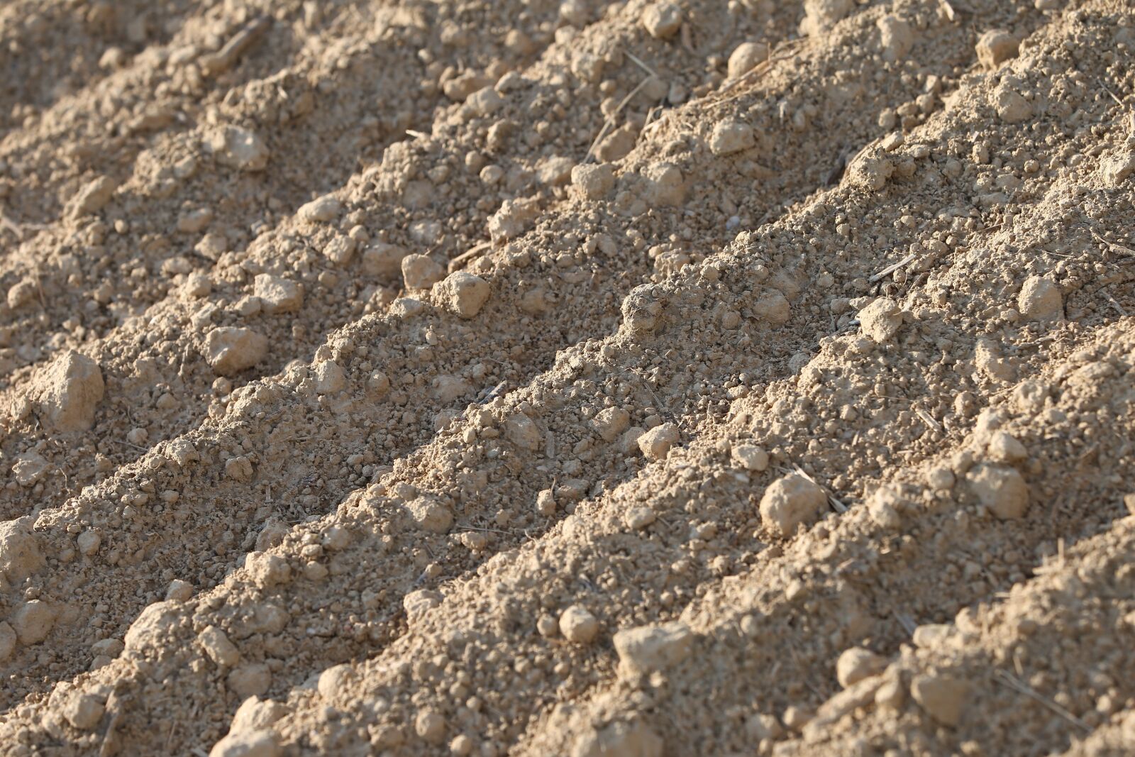 Canon EF 70-300 F4-5.6 IS II USM sample photo. Earth, soil, ground photography