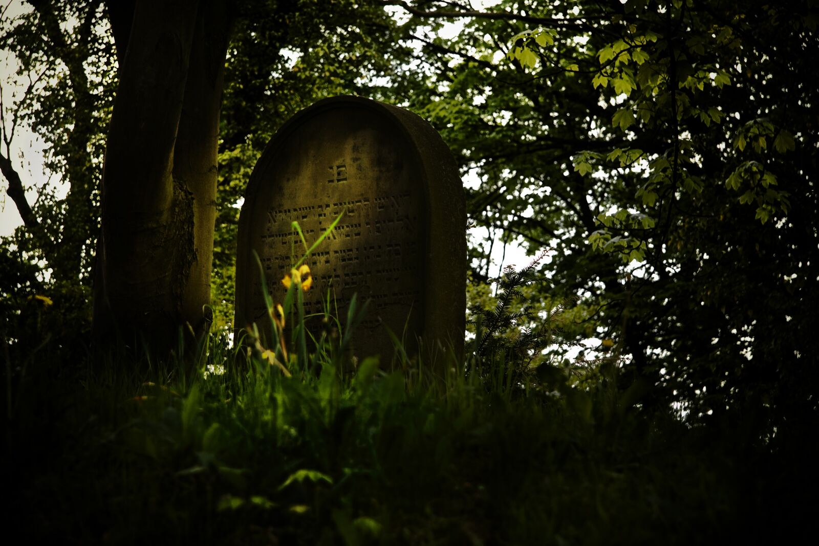 Canon EOS 400D (EOS Digital Rebel XTi / EOS Kiss Digital X) sample photo. Death, mourning, cemetery photography