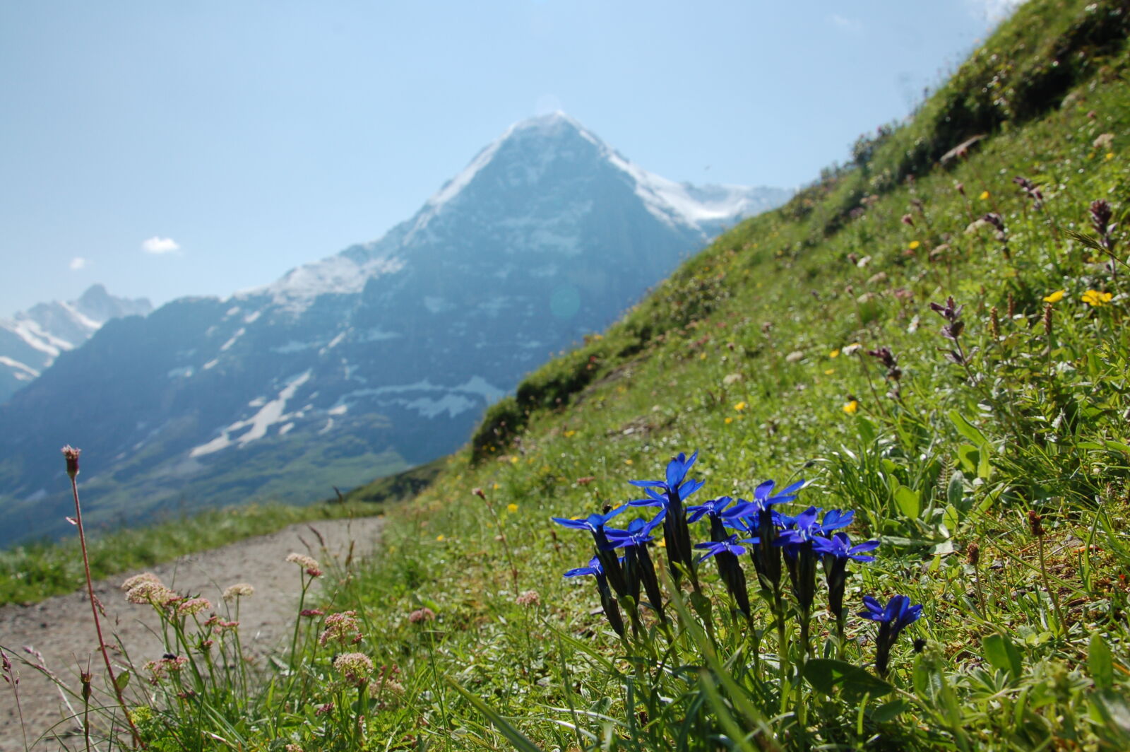 Nikon D50 sample photo. Alps, eiger, mountain, switzerland photography