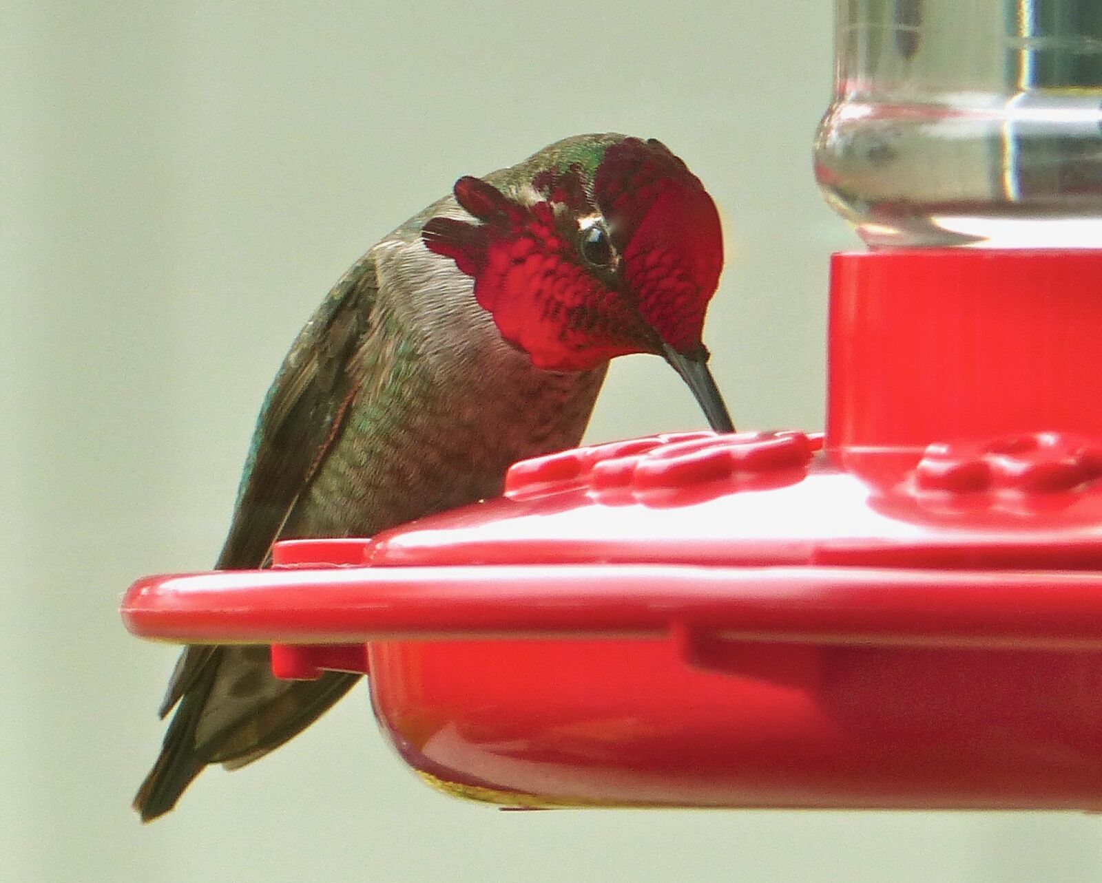 Panasonic Lumix DMC-FZ200 sample photo