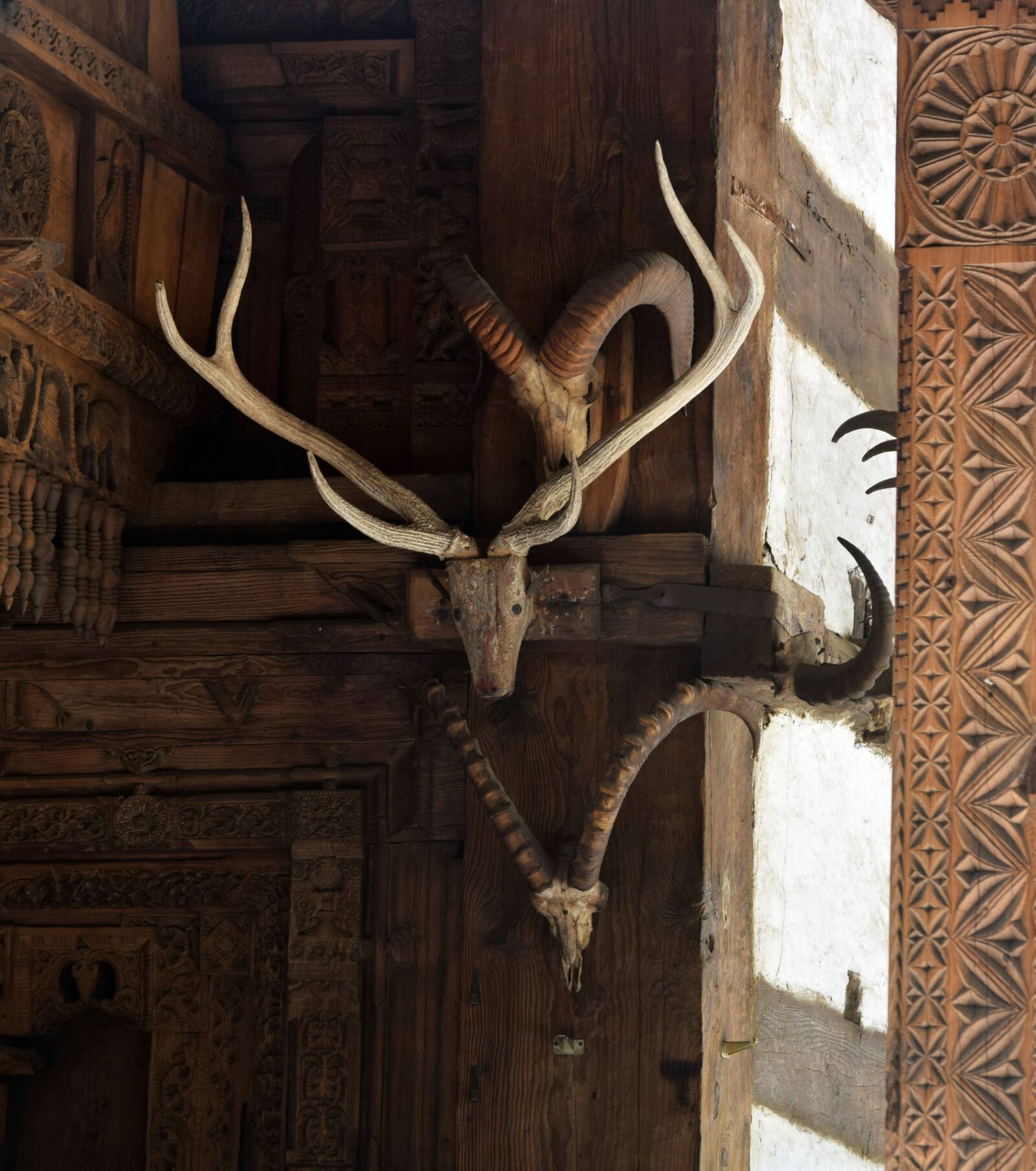 Nikon D3300 sample photo. Art, craft, animal photography