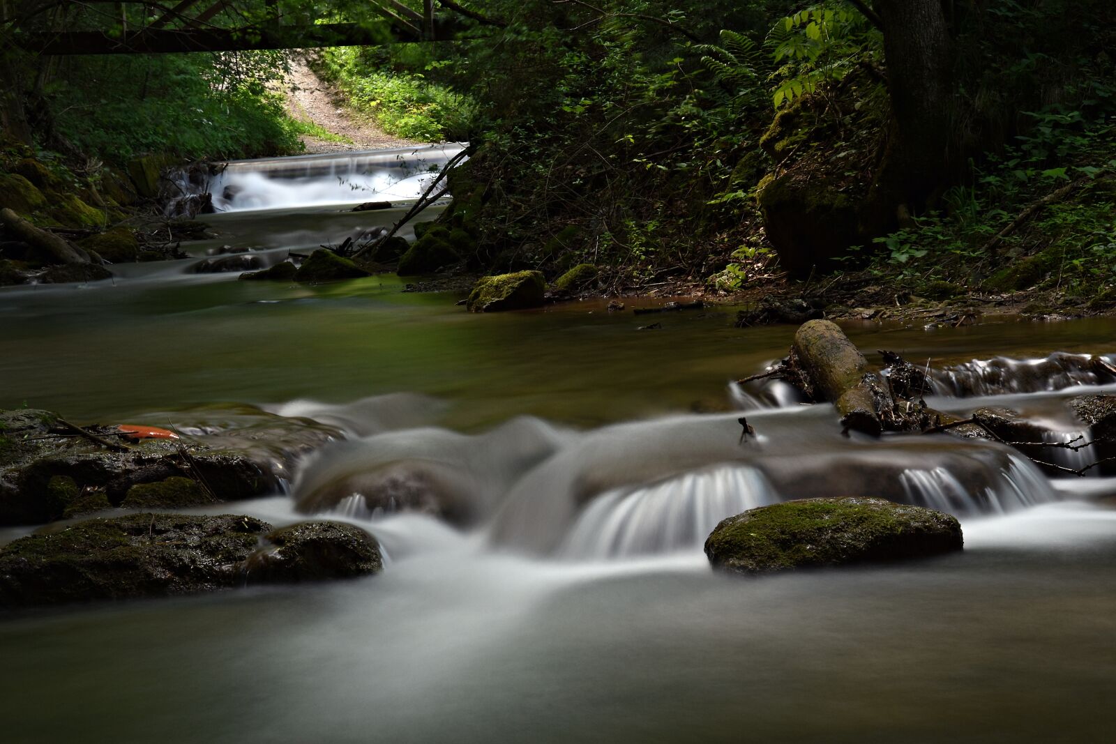 Nikon D3400 sample photo. Long exposure, forest, bach photography