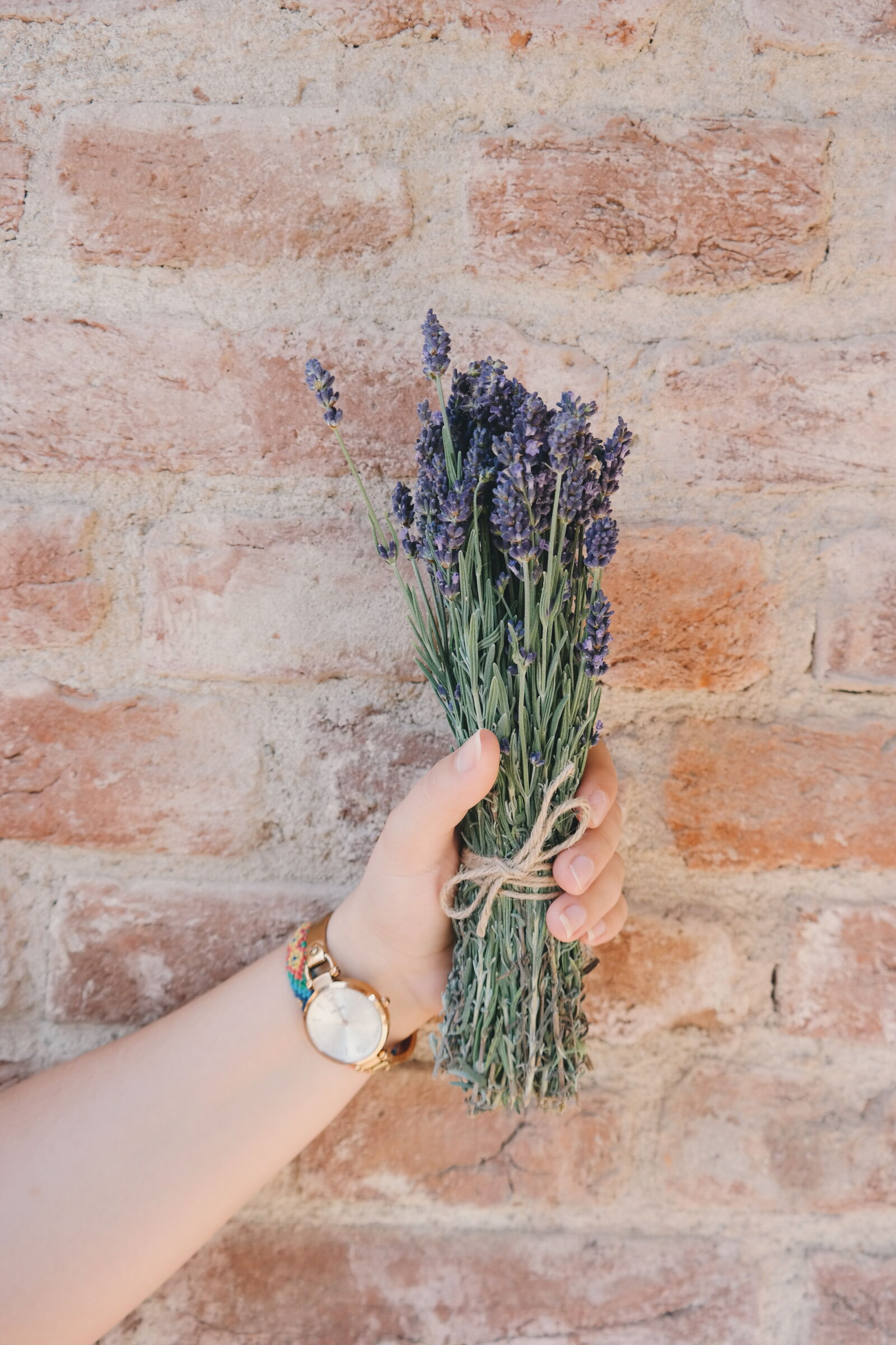 Samsung NX300 sample photo. Beautiful, beautiful, flowers, clock photography