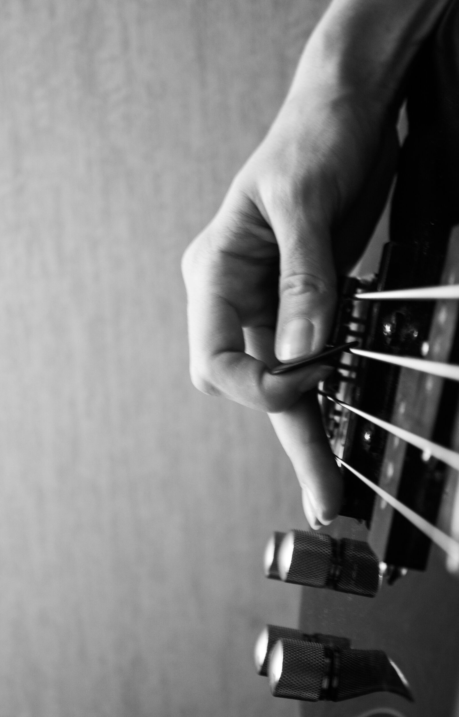 Canon EOS 450D (EOS Rebel XSi / EOS Kiss X2) sample photo. Music, bas-guitar, strings photography