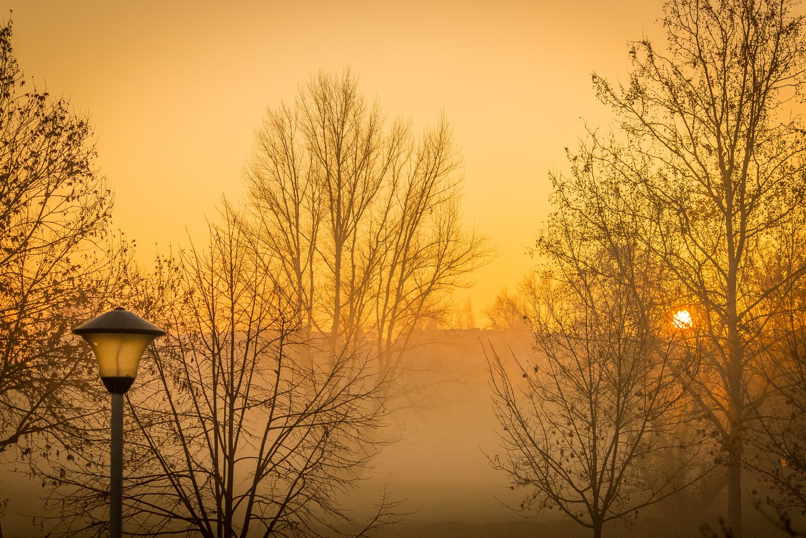 Canon EOS 700D (EOS Rebel T5i / EOS Kiss X7i) sample photo. Mist, fog, morning photography