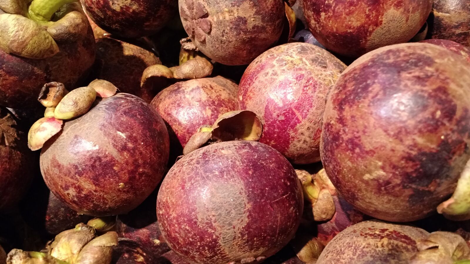 Motorola Moto X (2nd Gen) sample photo. Fruit, purple, tropical photography