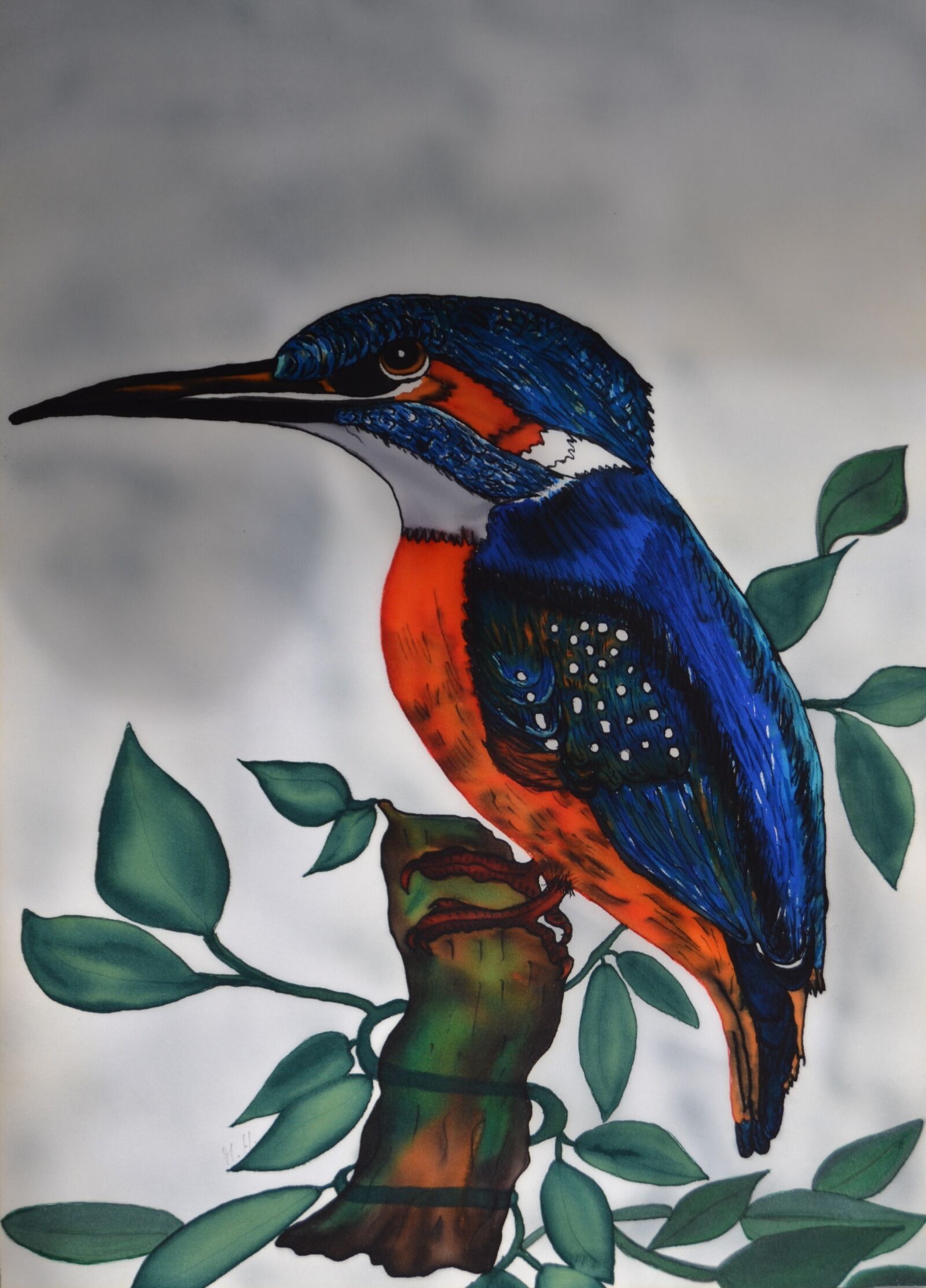 Nikon D3100 sample photo. Kingfisher, alcedo atthis, silk photography