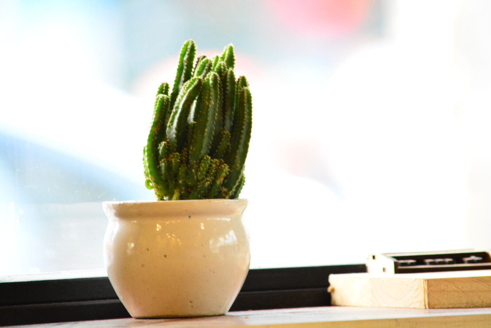 Nikon D7100 sample photo