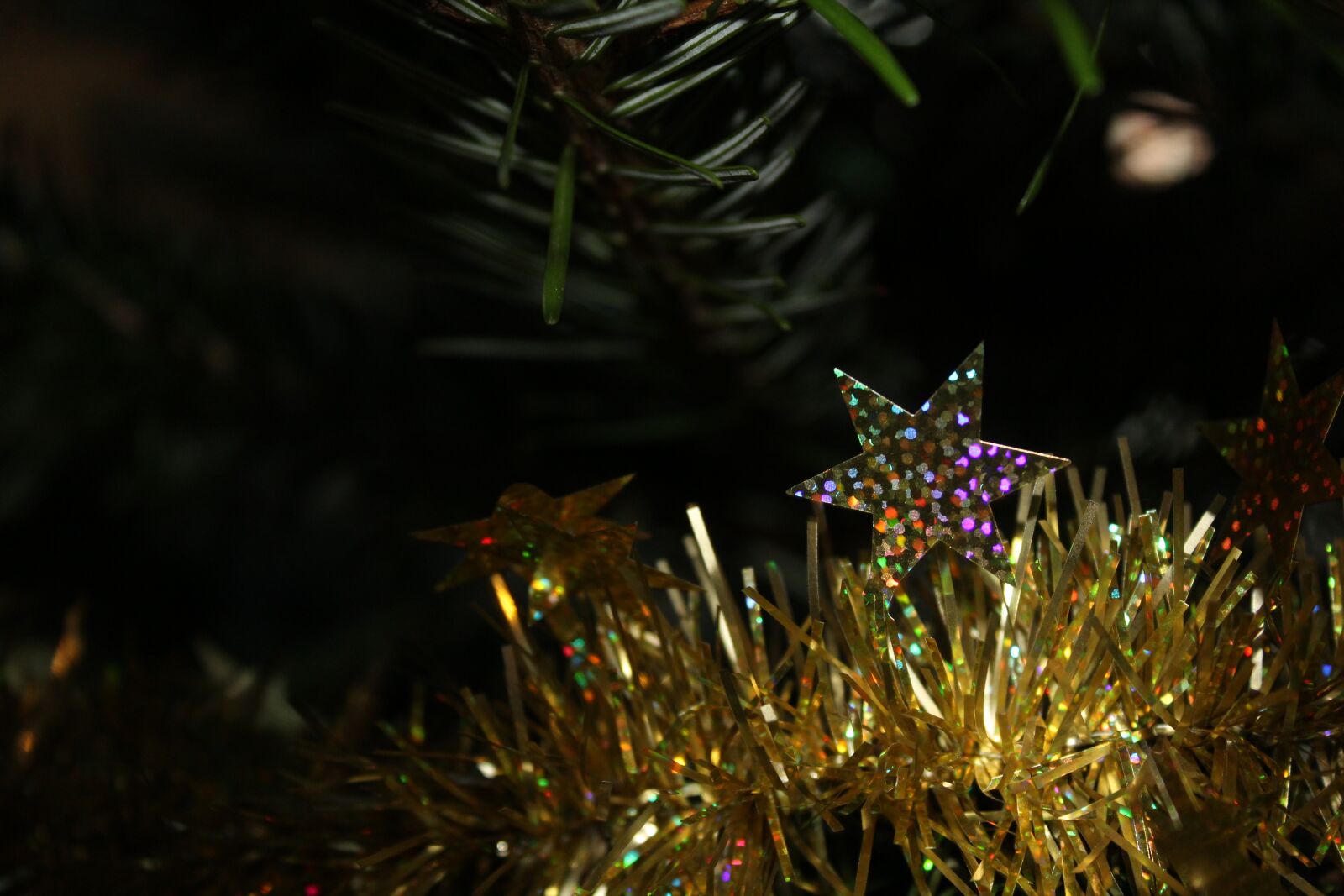 Canon EOS 1200D (EOS Rebel T5 / EOS Kiss X70 / EOS Hi) sample photo. Christmas, star, background photography