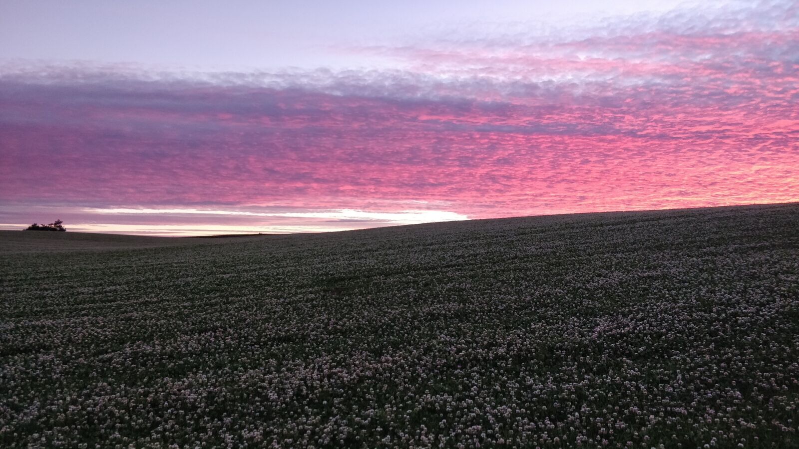 OnePlus 5 sample photo. Sunset, no person, natural photography