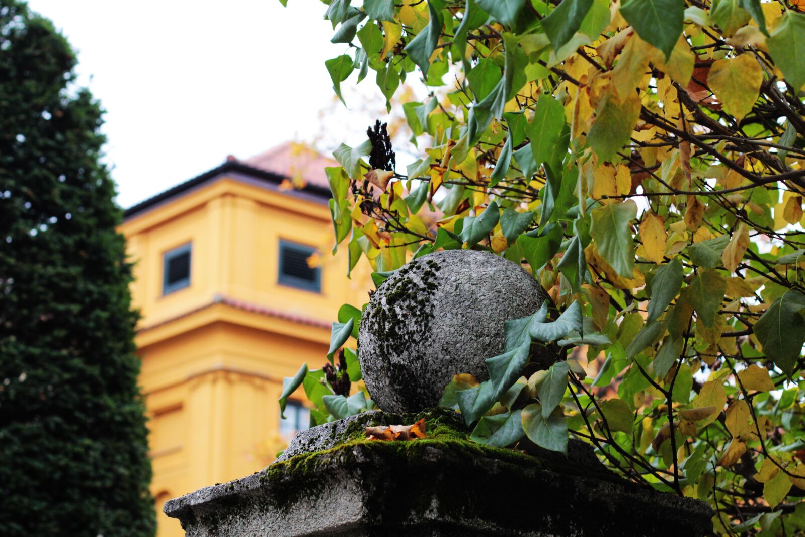 Canon EF 50mm F1.4 USM sample photo. Munich, lenbachhaus, wall photography