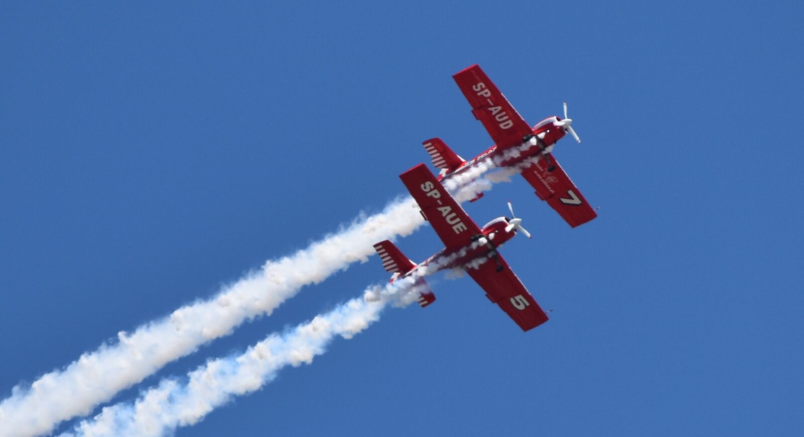 Nikon D5500 sample photo. The plane, air show photography