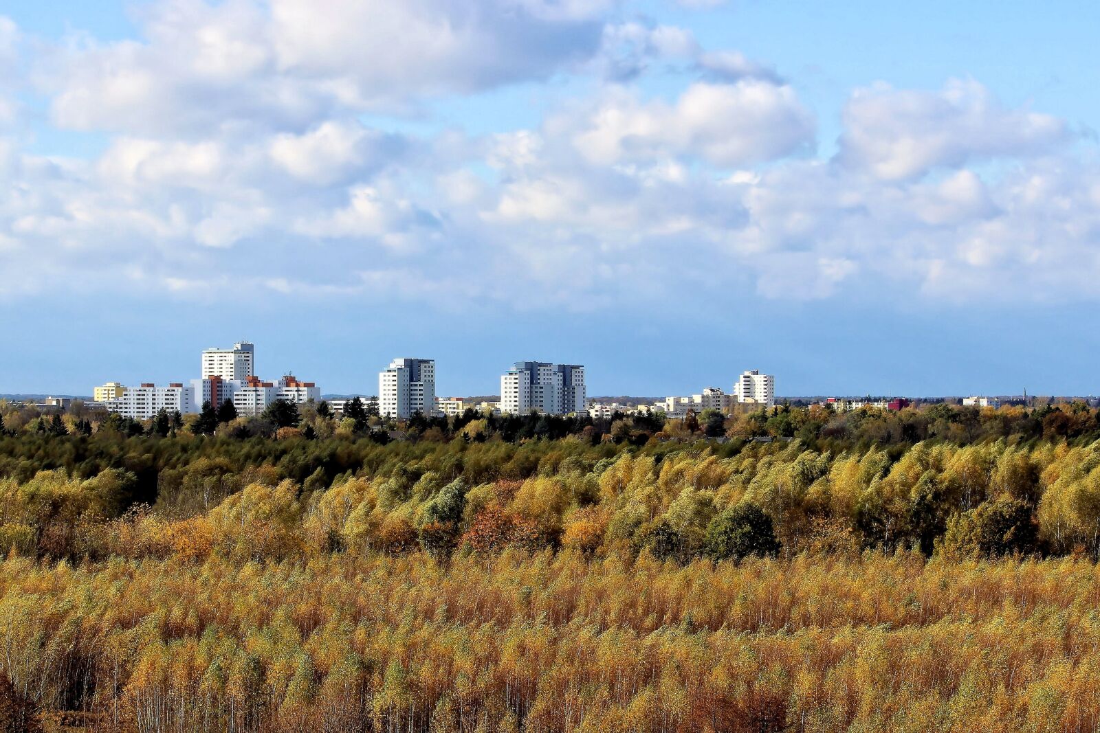 Canon EF-S 55-250mm F4-5.6 IS II sample photo. Autumn, skyline, landscape photography