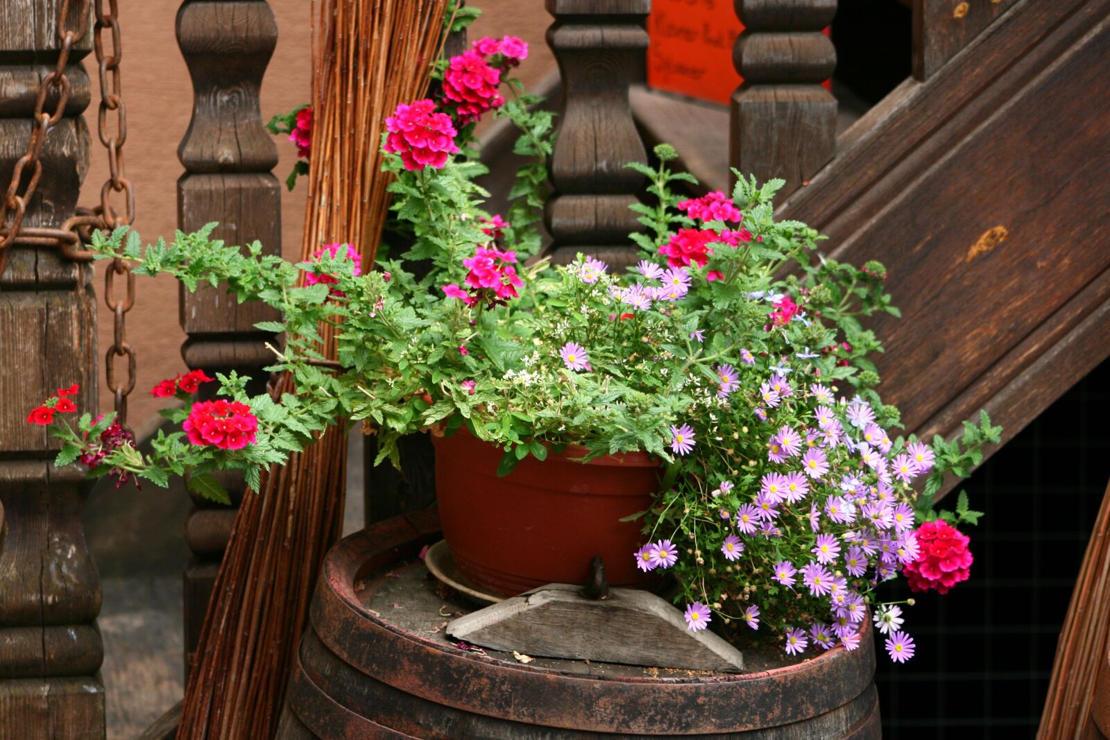 Canon EOS 400D (EOS Digital Rebel XTi / EOS Kiss Digital X) sample photo. Flowers, planters, decoration photography