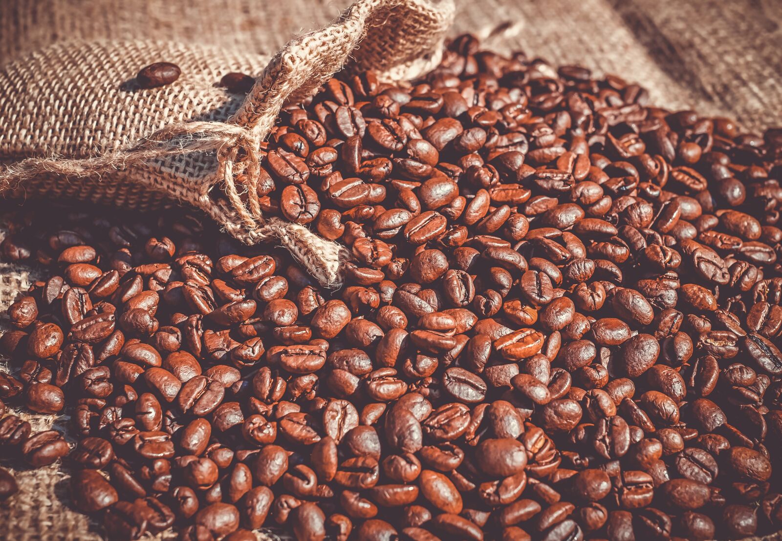 Fujifilm X-T10 + Fujifilm XF 35mm F1.4 R sample photo. Coffee, coffee beans, beans photography