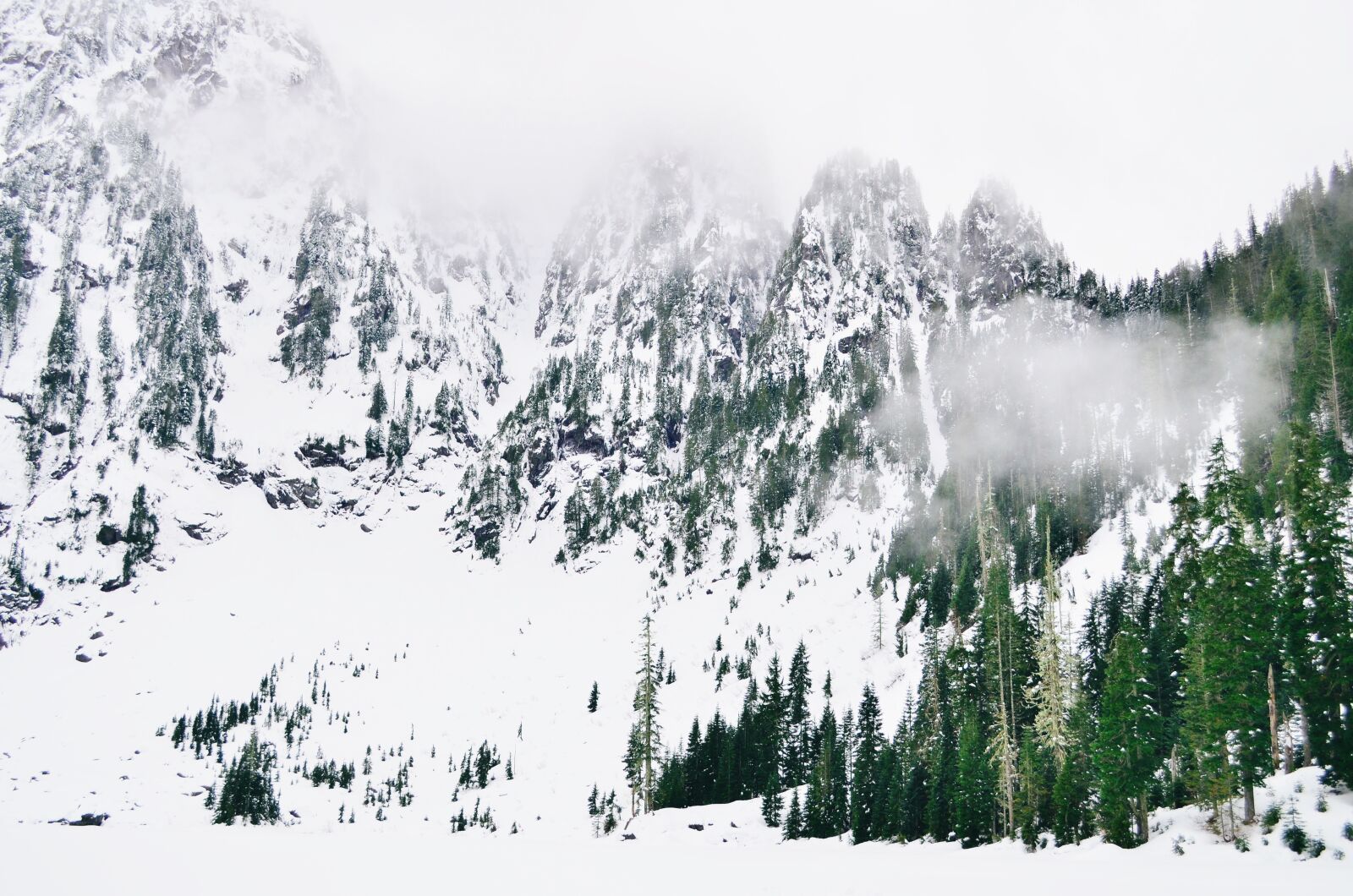 Nikon D5100 sample photo. Mountains, fog, alaska photography