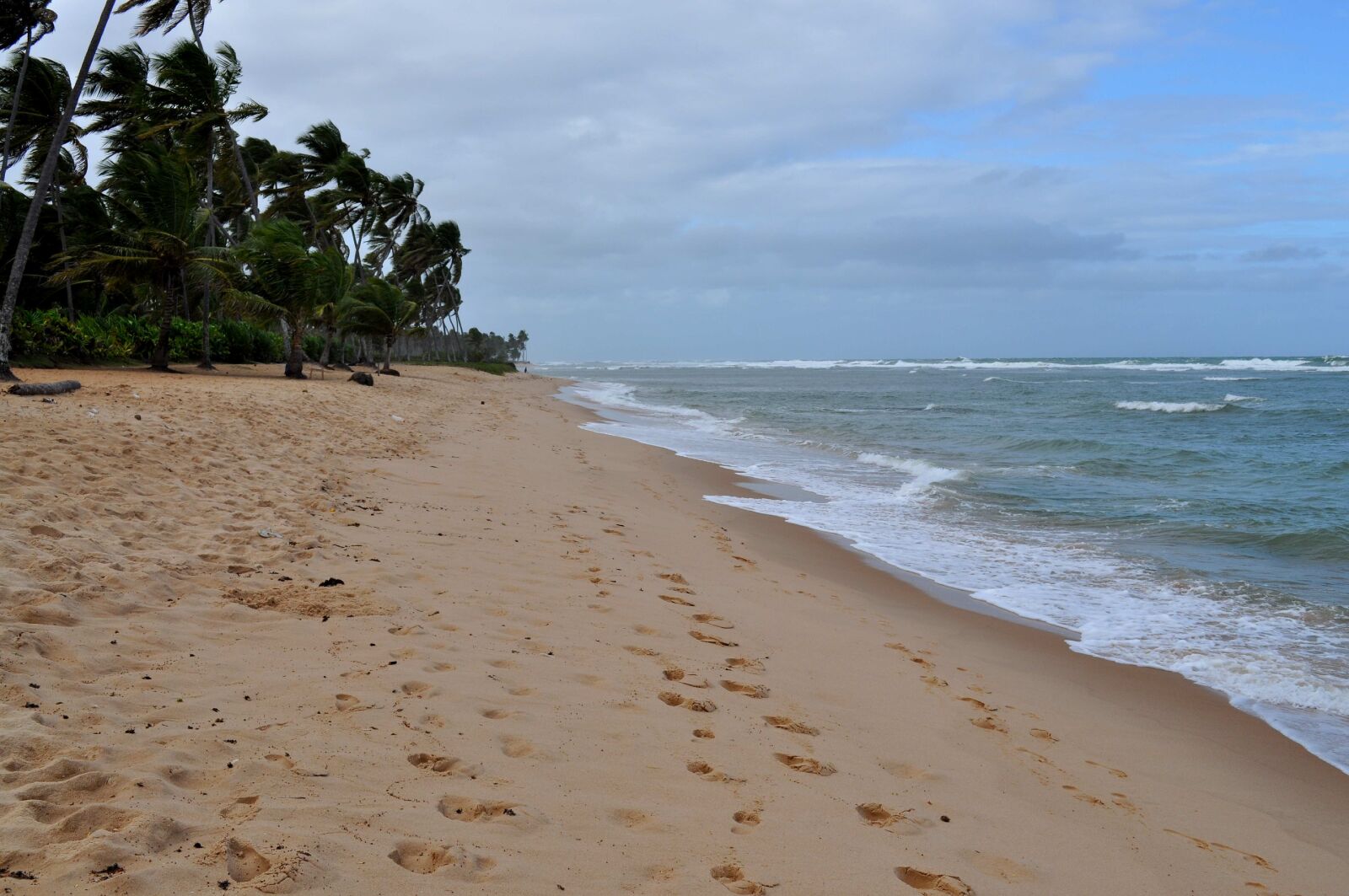 Nikon D5000 sample photo. Beach, yellow, sand photography