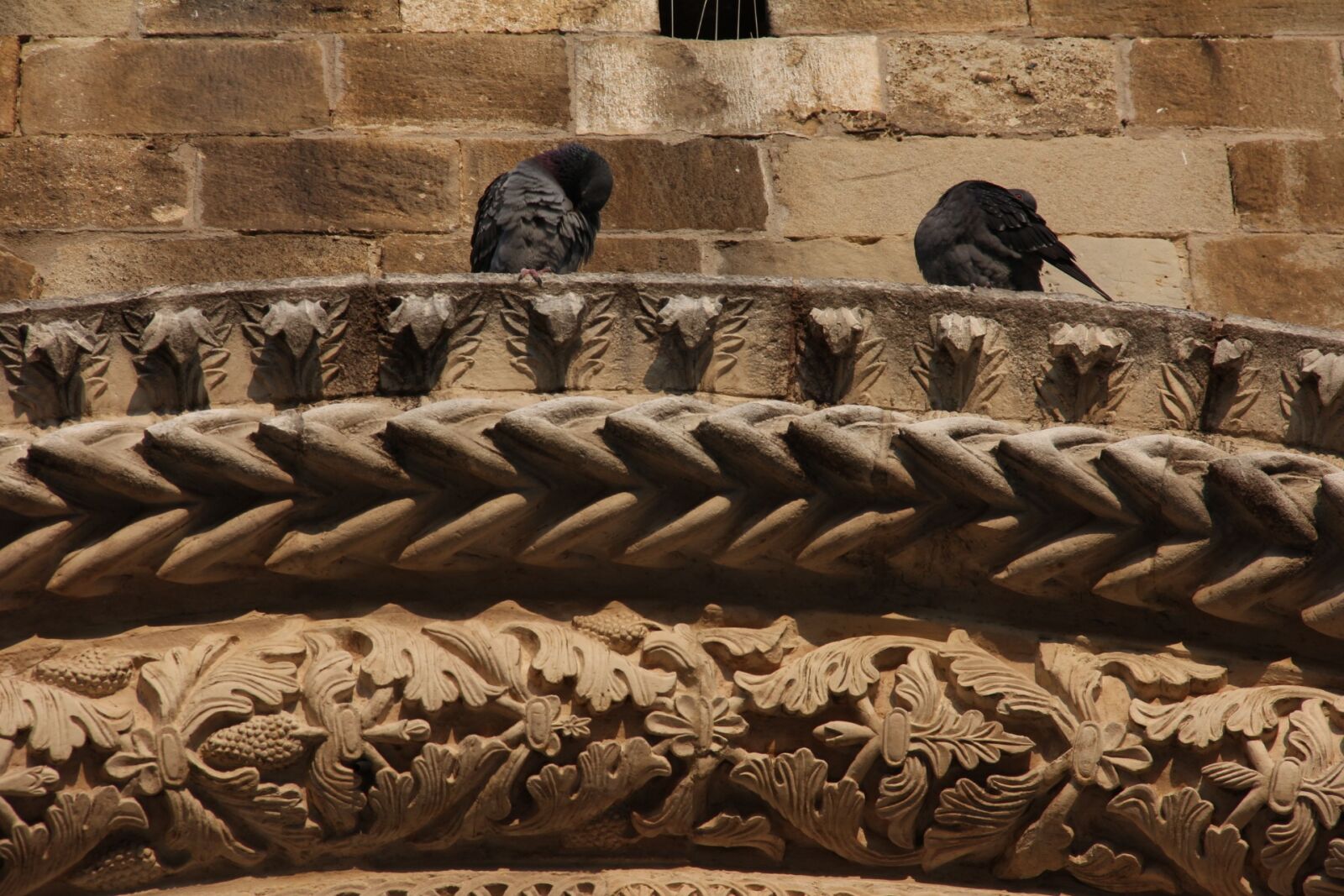 Canon EF-S 18-135mm F3.5-5.6 IS sample photo. Atria, pigeons, church photography