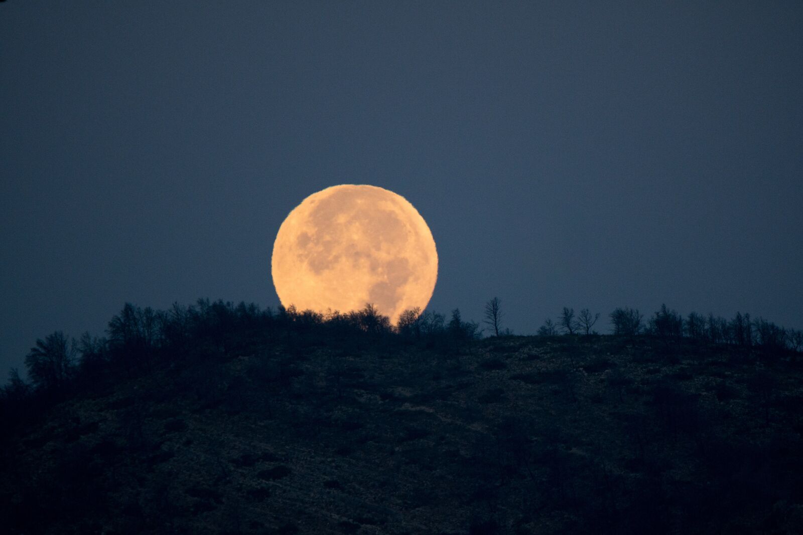 Lunar. Луна фото красивое. Полная Луна фото. Полная Луна укажет. Круглая Луна фото.