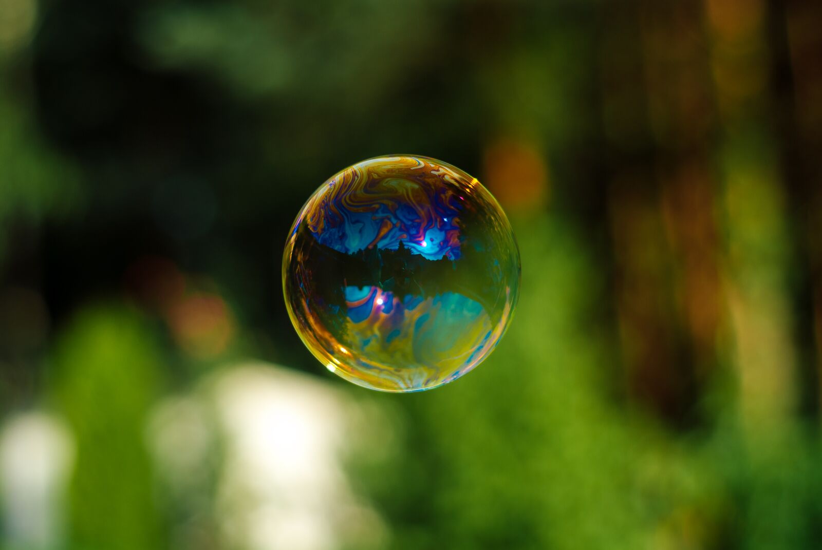 Nikon D200 sample photo. Bubble, colors, colored bubble photography