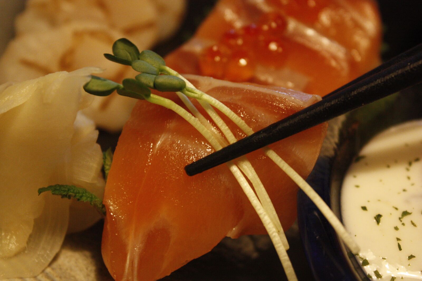Canon EOS 450D (EOS Rebel XSi / EOS Kiss X2) sample photo. Sushi, salmon times, time photography