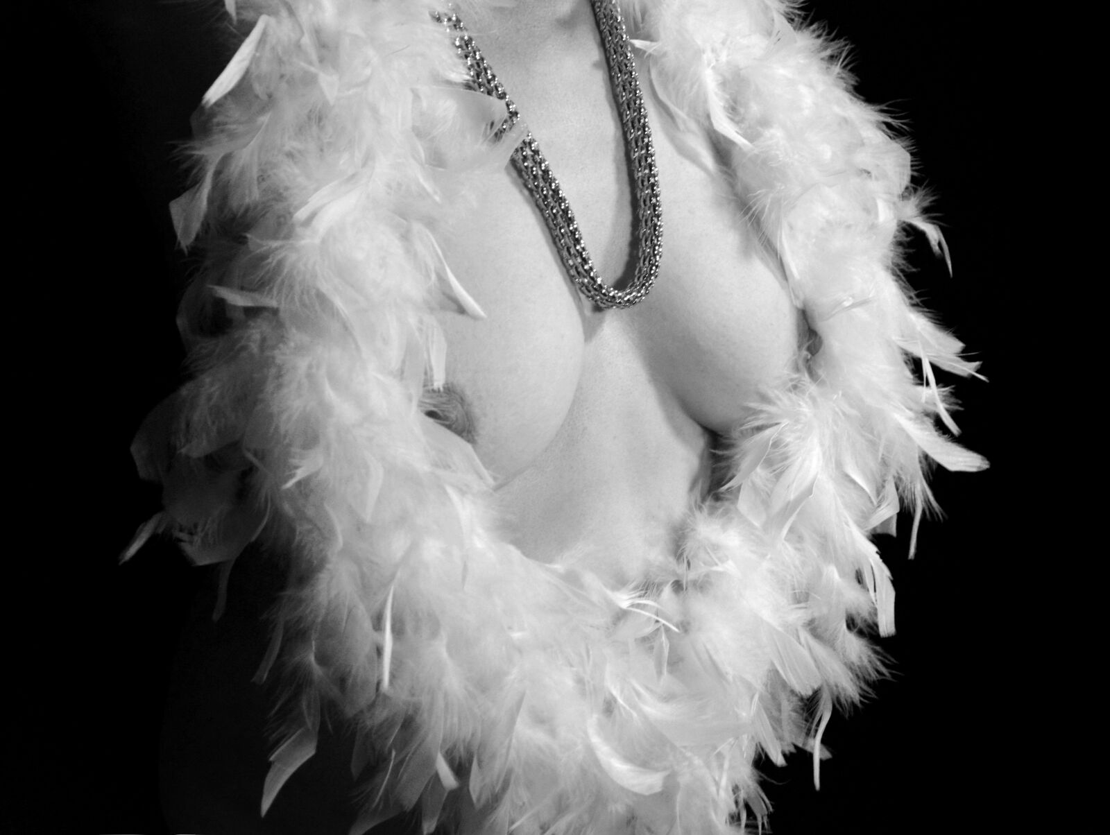 Nikon D5200 sample photo. Burlesque, feather, boa photography