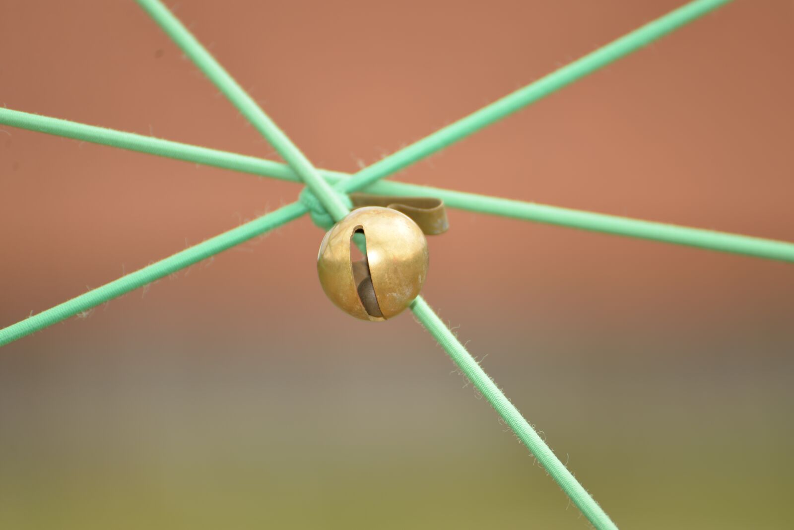 Nikon D610 sample photo. Elastic, doorbell, games photography