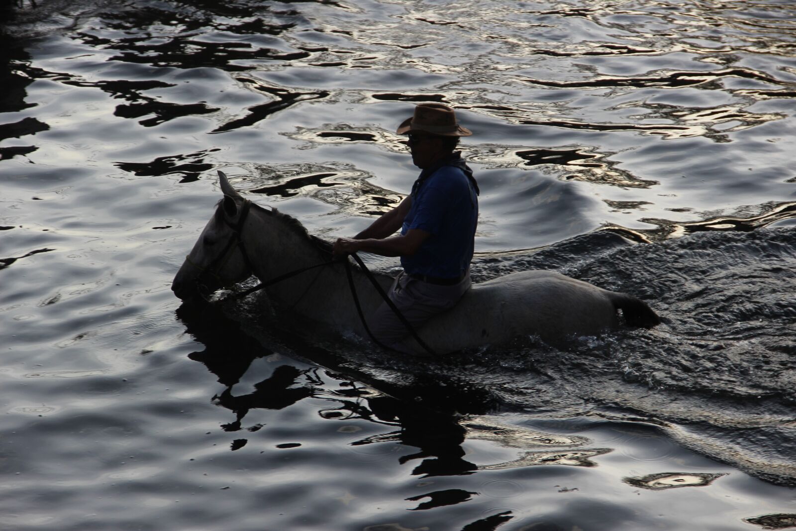 Canon EOS 600D (Rebel EOS T3i / EOS Kiss X5) sample photo. Horse, water, the ride photography