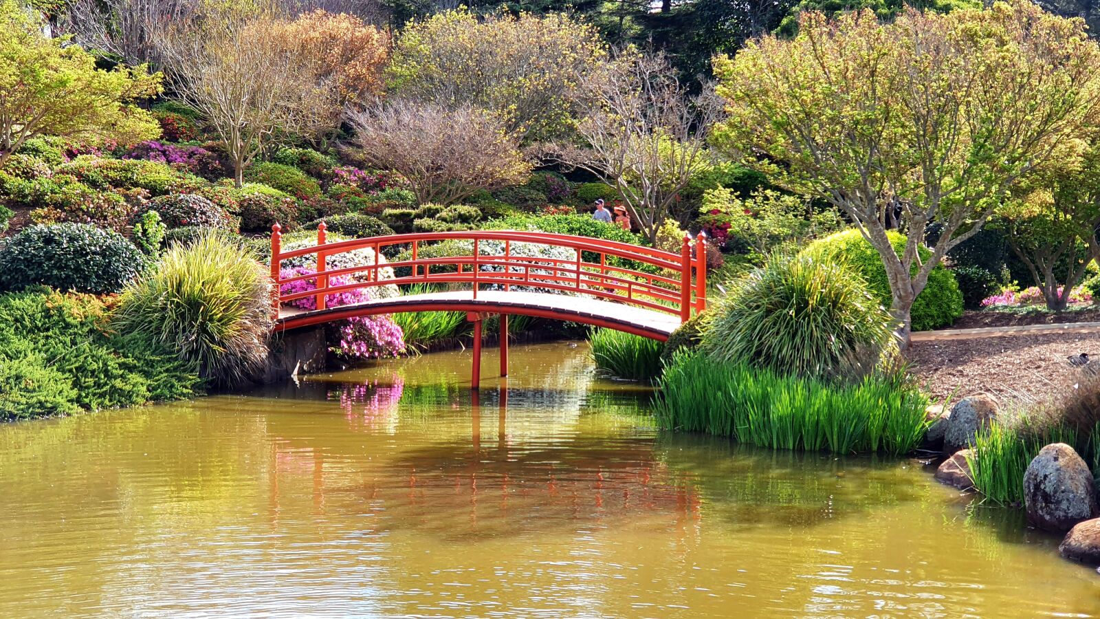 Samsung SM-G973F sample photo. Japan, japanese, zen photography