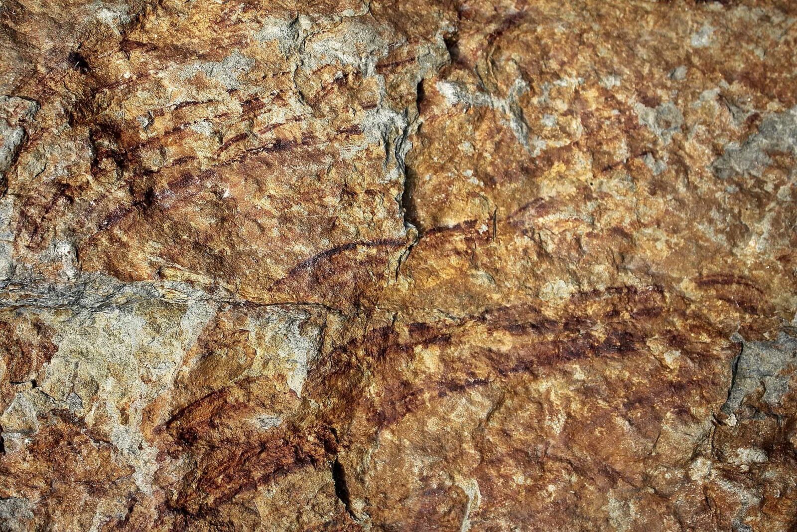 Canon EOS 550D (EOS Rebel T2i / EOS Kiss X4) sample photo. Texture, old, stone, abstract photography