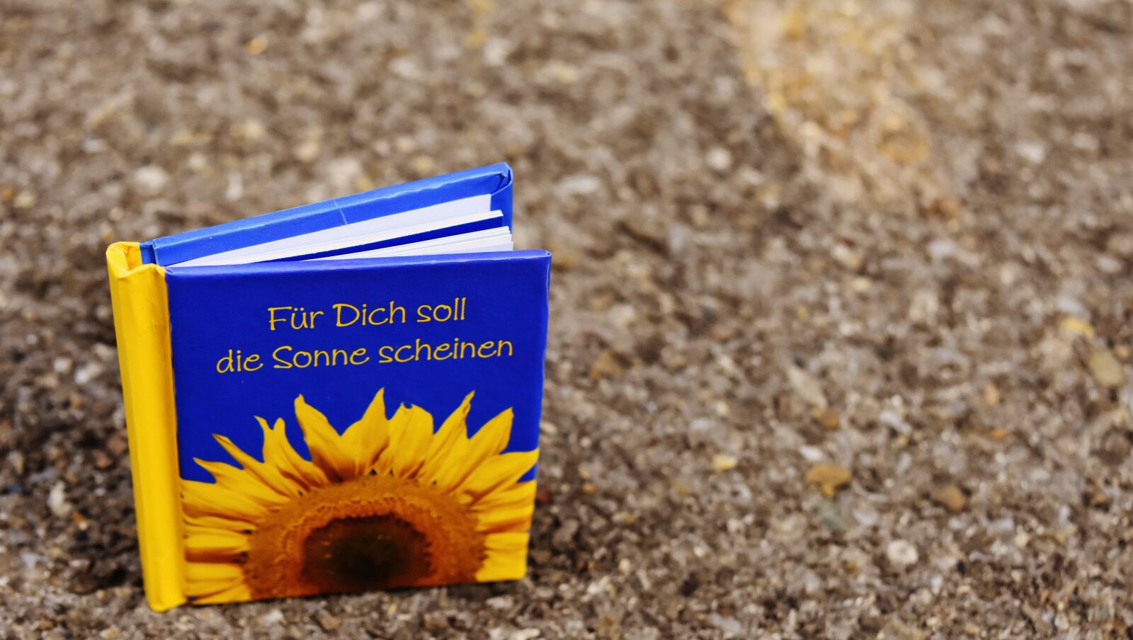 Nikon D7200 sample photo. Book, greeting card, rather photography