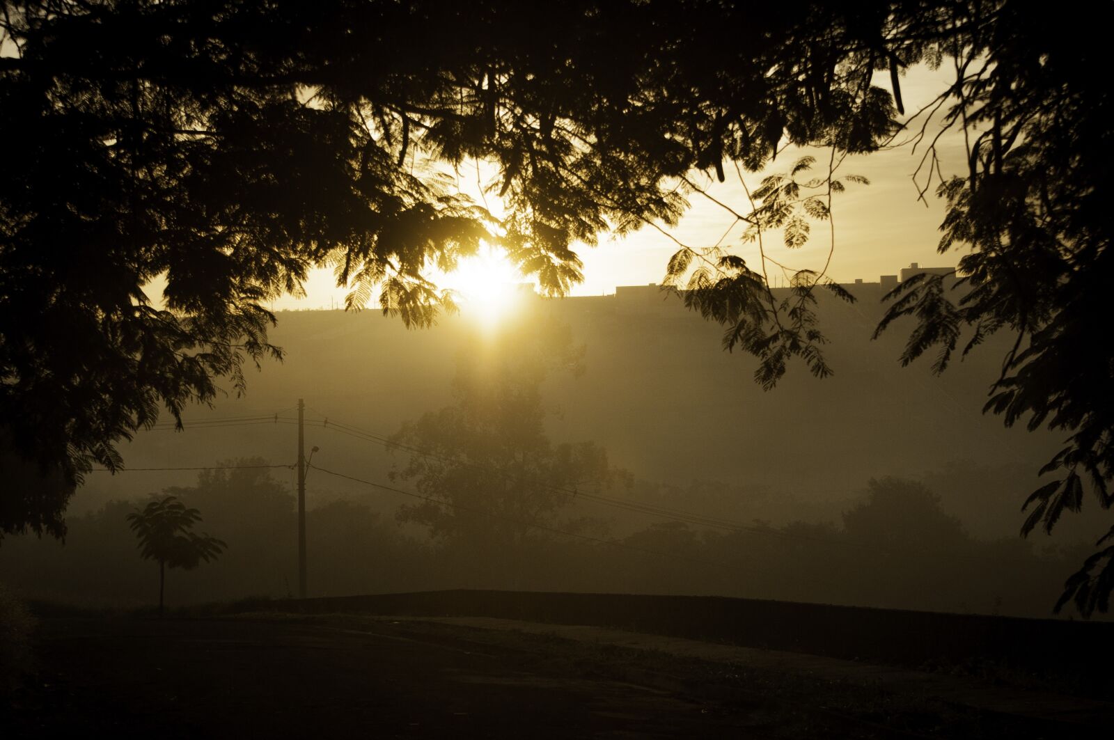 Nikon D90 sample photo. Sunrise, shadow, nature photography
