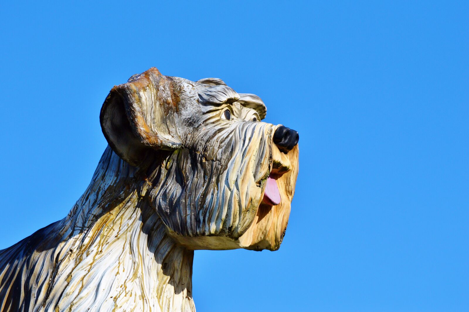 Nikon D3200 sample photo. Wood dog, figure, dog photography