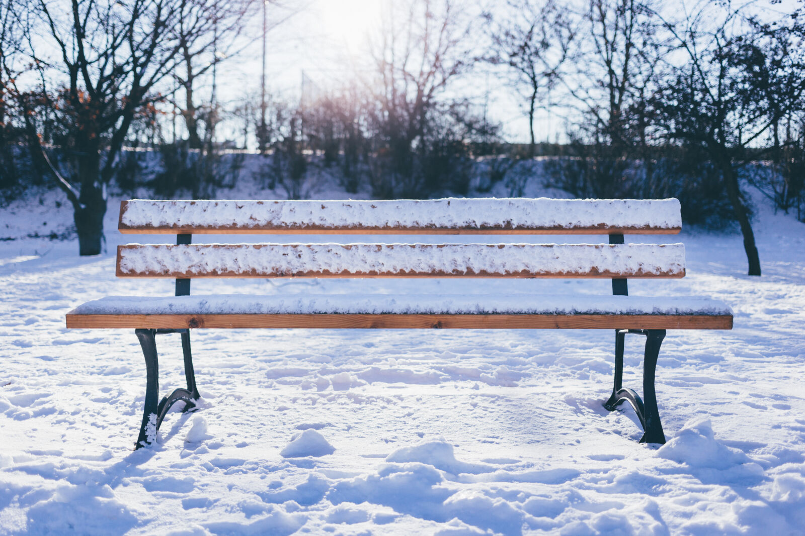 Canon EF 40mm F2.8 STM sample photo. Bench, cold, freezing, frost photography