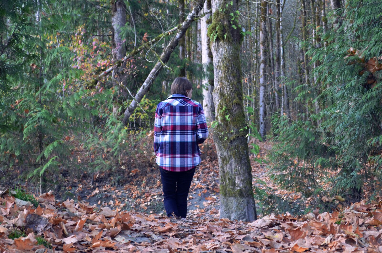Nikon D5100 sample photo. Walking, woods, forest photography