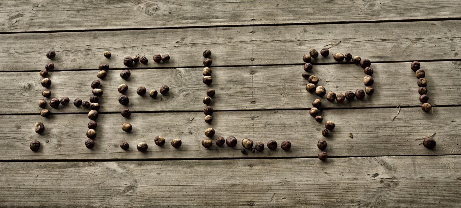 Nikon D5100 sample photo. The inscription, floor, chestnuts photography